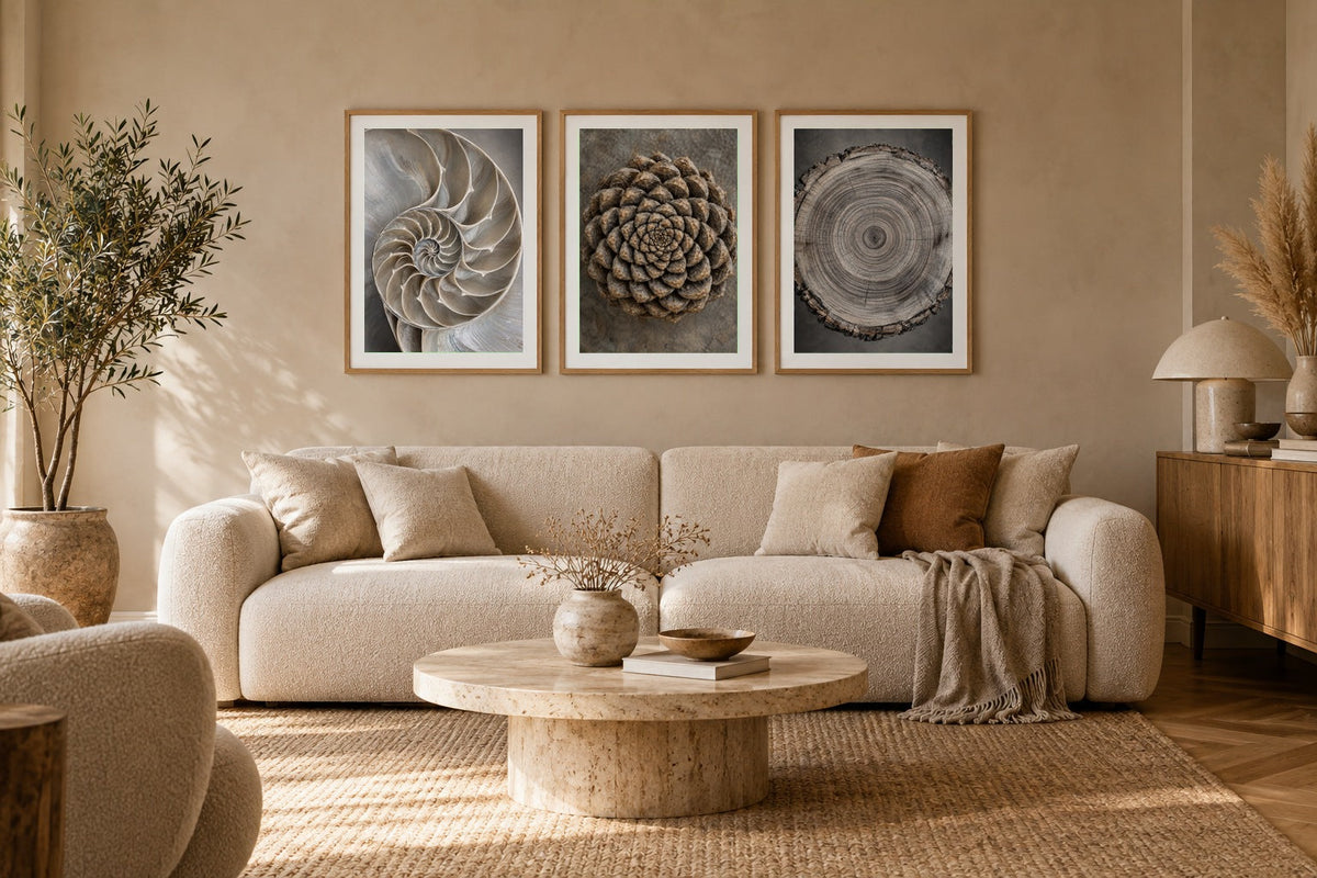 Quiet Geometry – Series