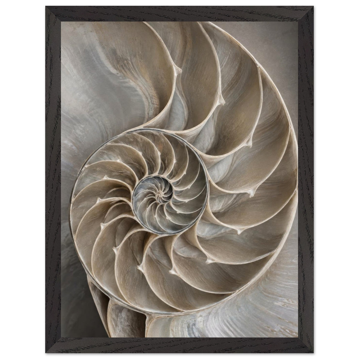 4b61e912-bf8d-4f48-bfd4-364bb05c9858